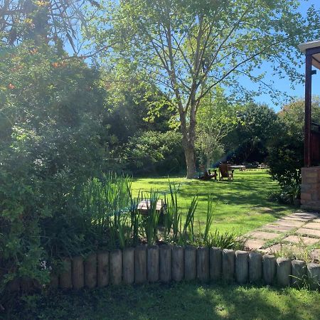 Forest Glen Bed and Breakfast Κνύσνα Εξωτερικό φωτογραφία